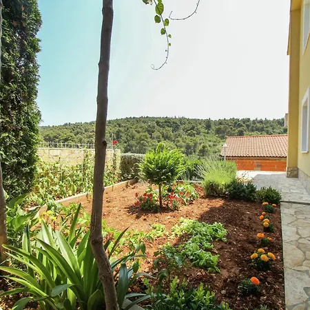 Boutique With Garden In *